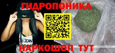 СК Будённовск