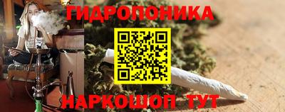 амф Бийск