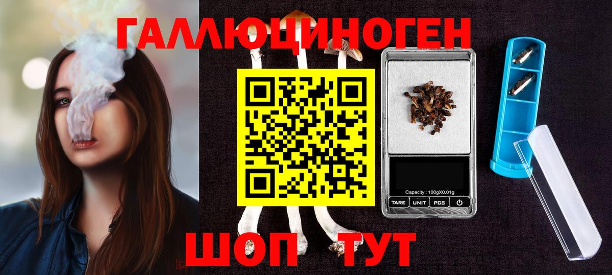Псилоцибиновые грибы GOLDEN TEACHER Губкин