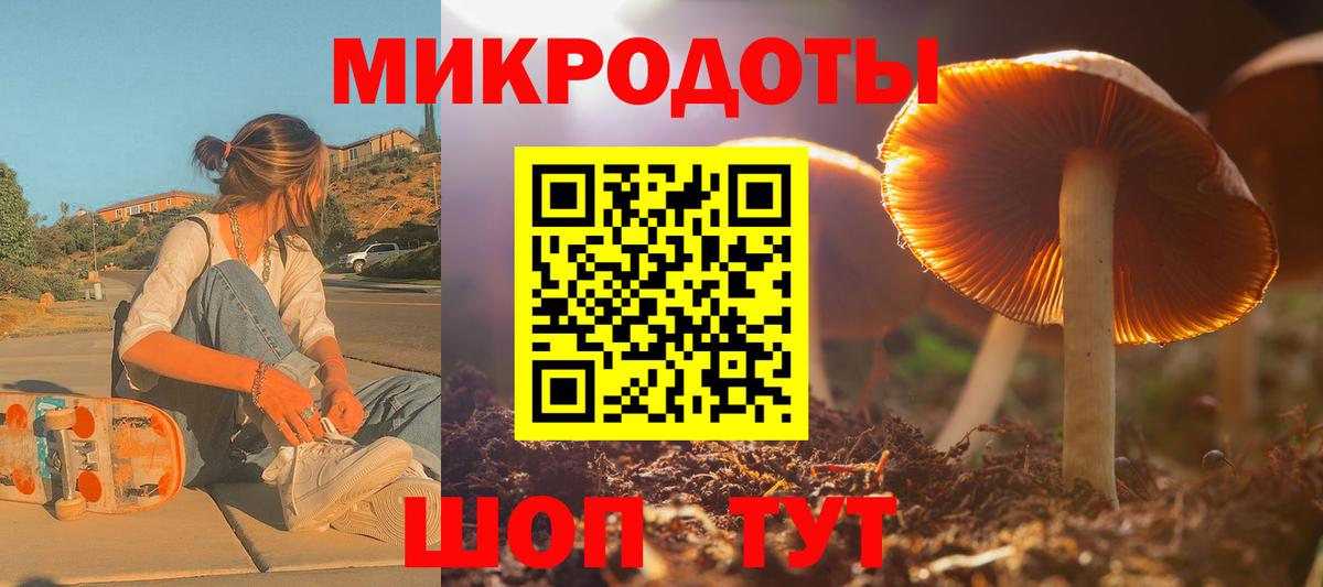 Губкин  Галлюциногенные грибы Cubensis  Вход с VPN  Псилоцибиновые грибы GOLDEN TEACHER 